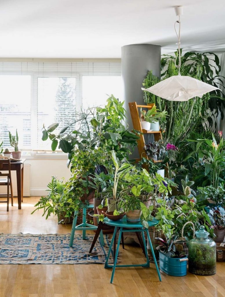 Casa decorada com plantas no estilo Urban Jungle